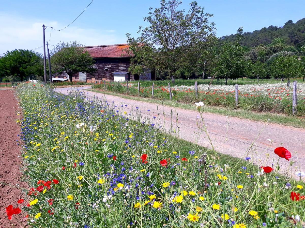 Gite Du Bouyssou Carsac-Aillac Exterior foto